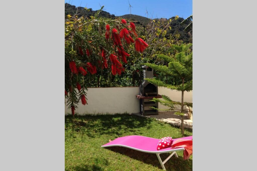 Apartment La Pena Rojo Wifi Tarifa Exterior foto
